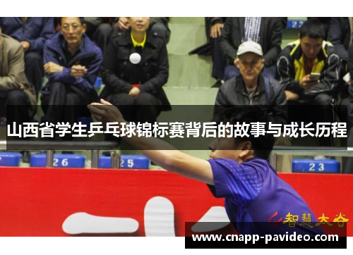 山西省学生乒乓球锦标赛背后的故事与成长历程