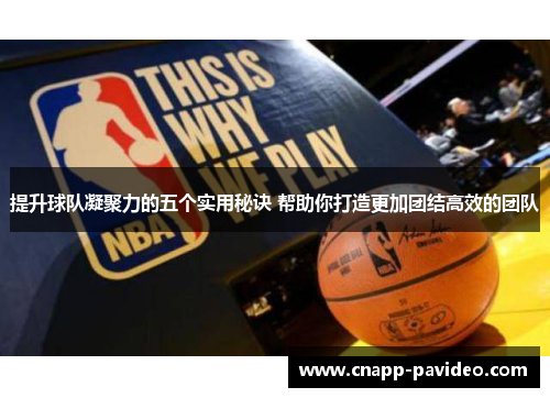 提升球队凝聚力的五个实用秘诀 帮助你打造更加团结高效的团队