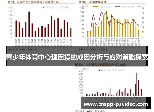 青少年体育中心理困境的成因分析与应对策略探索