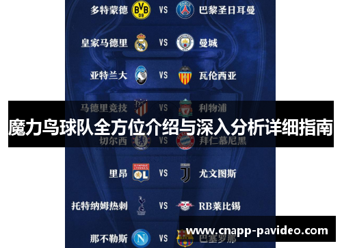 魔力鸟球队全方位介绍与深入分析详细指南