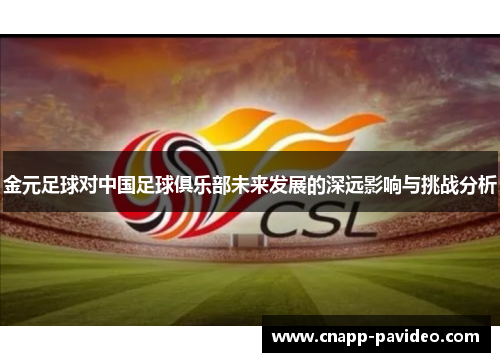 金元足球对中国足球俱乐部未来发展的深远影响与挑战分析