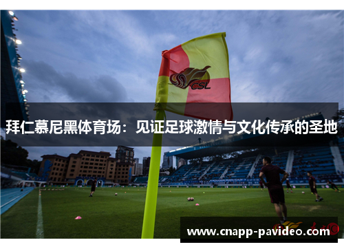 拜仁慕尼黑体育场：见证足球激情与文化传承的圣地