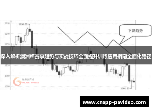 深入解析澳洲杯赛事趋势与实战技巧全面提升训练应用指南全面化路径