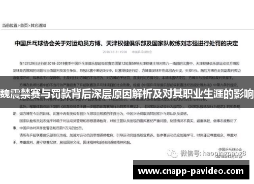 魏震禁赛与罚款背后深层原因解析及对其职业生涯的影响