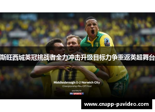 斯旺西城英冠挑战者全力冲击升级目标力争重返英超舞台