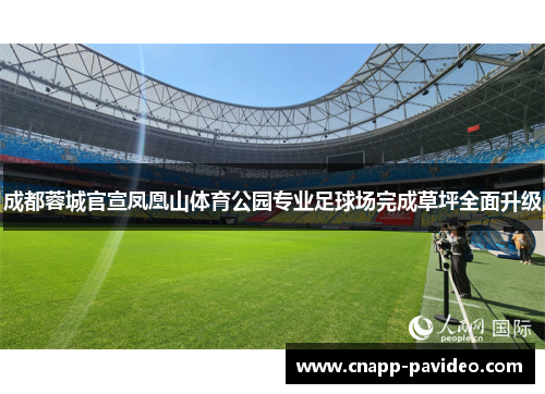 成都蓉城官宣凤凰山体育公园专业足球场完成草坪全面升级 成都蓉城官宣凤凰山体育公园专业足球场完成草坪全面升级