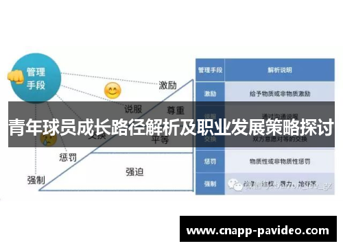 青年球员成长路径解析及职业发展策略探讨